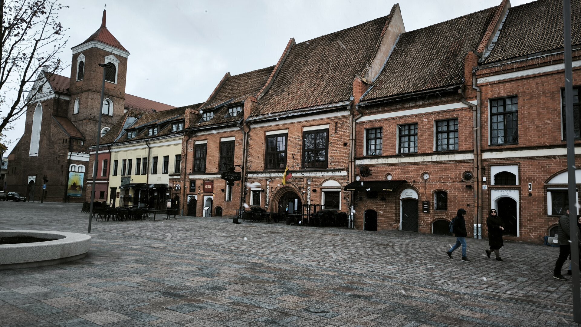 IMG_20260426_114038.jpg