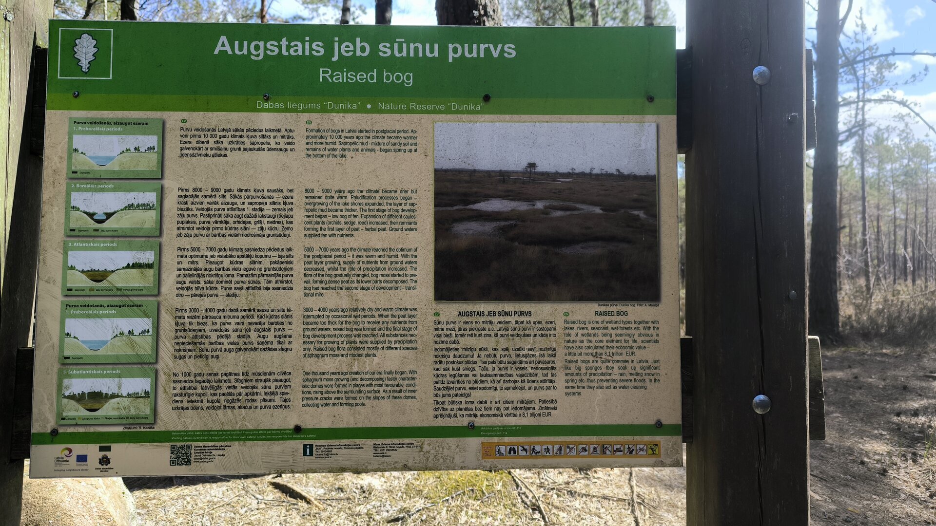 IMG_20260429_135650.jpg