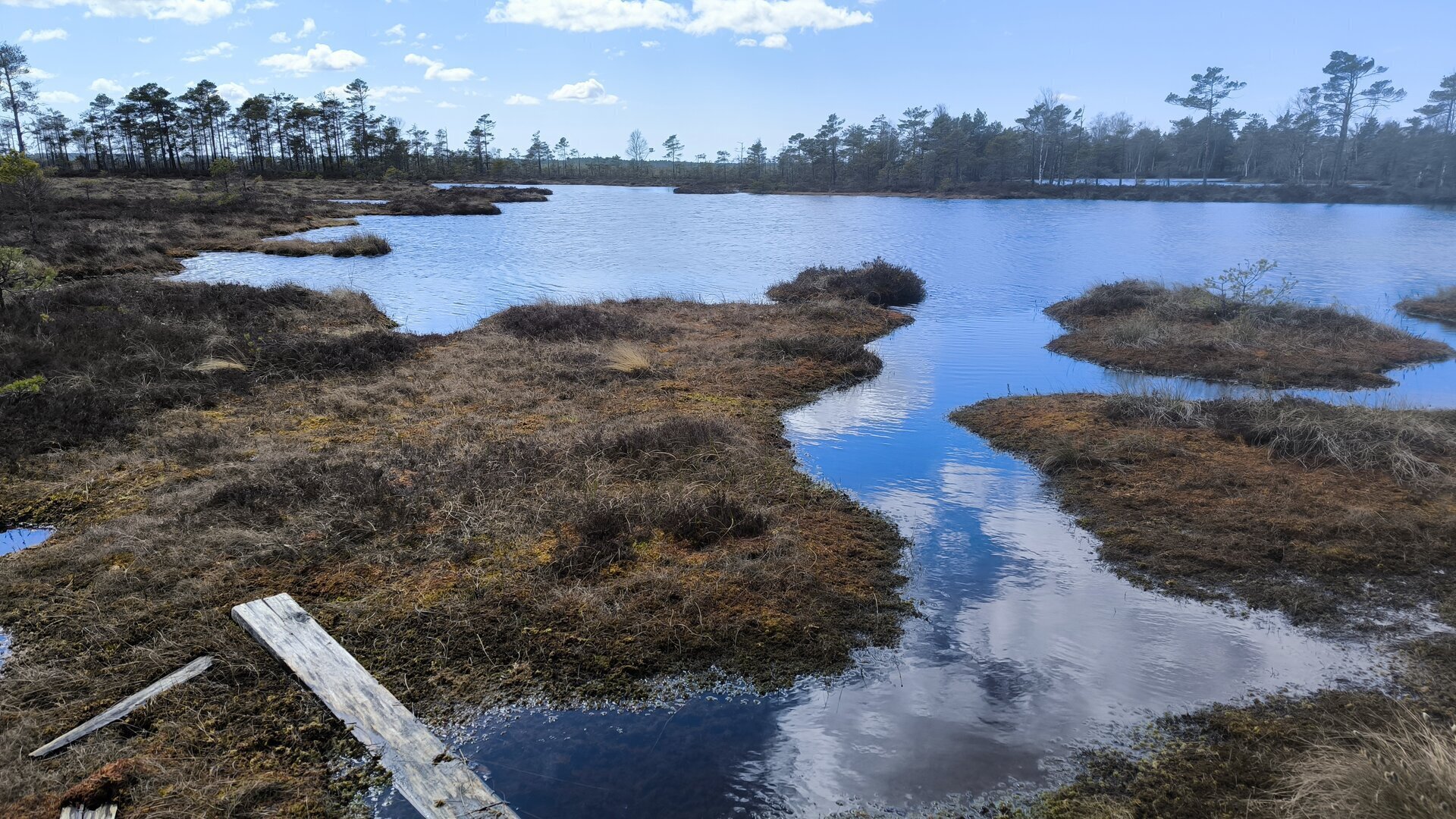 IMG_20260429_144648.jpg