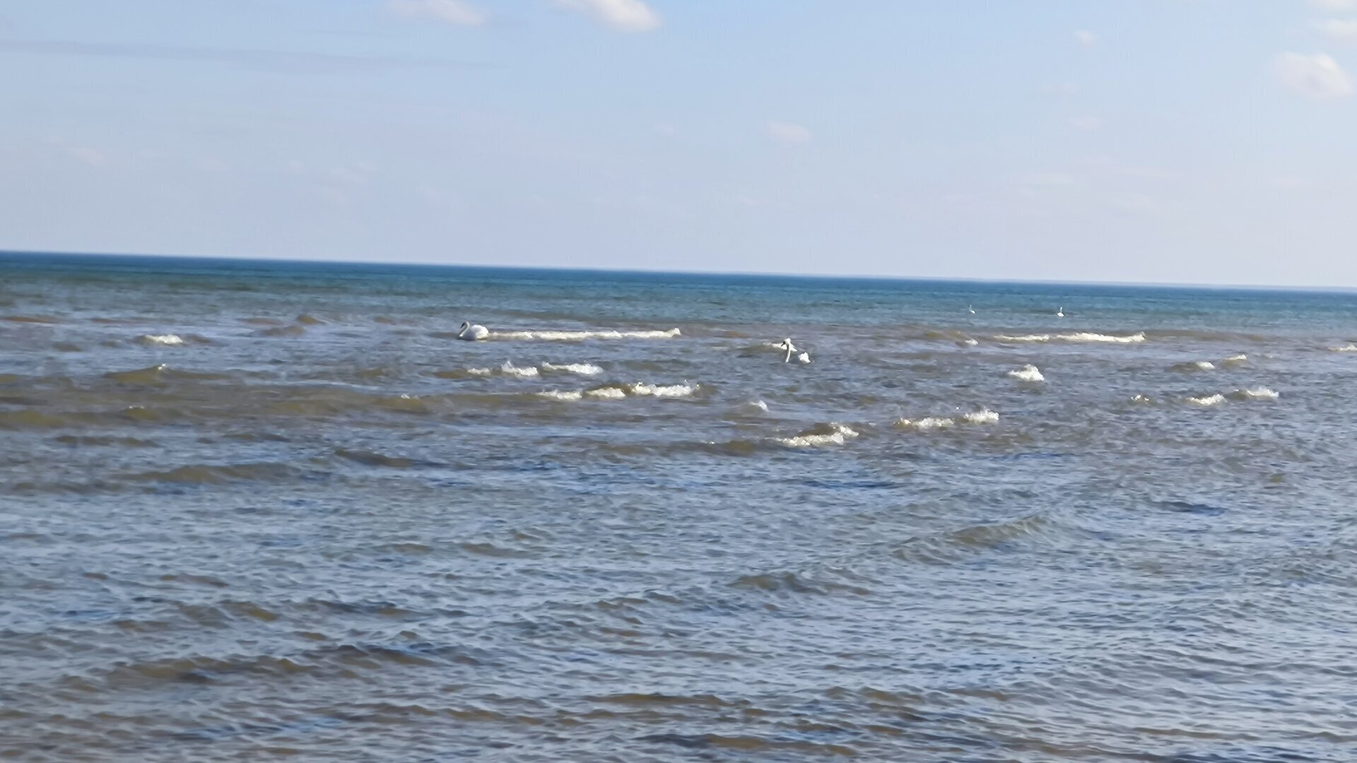 IMG_20260504_164257.jpg