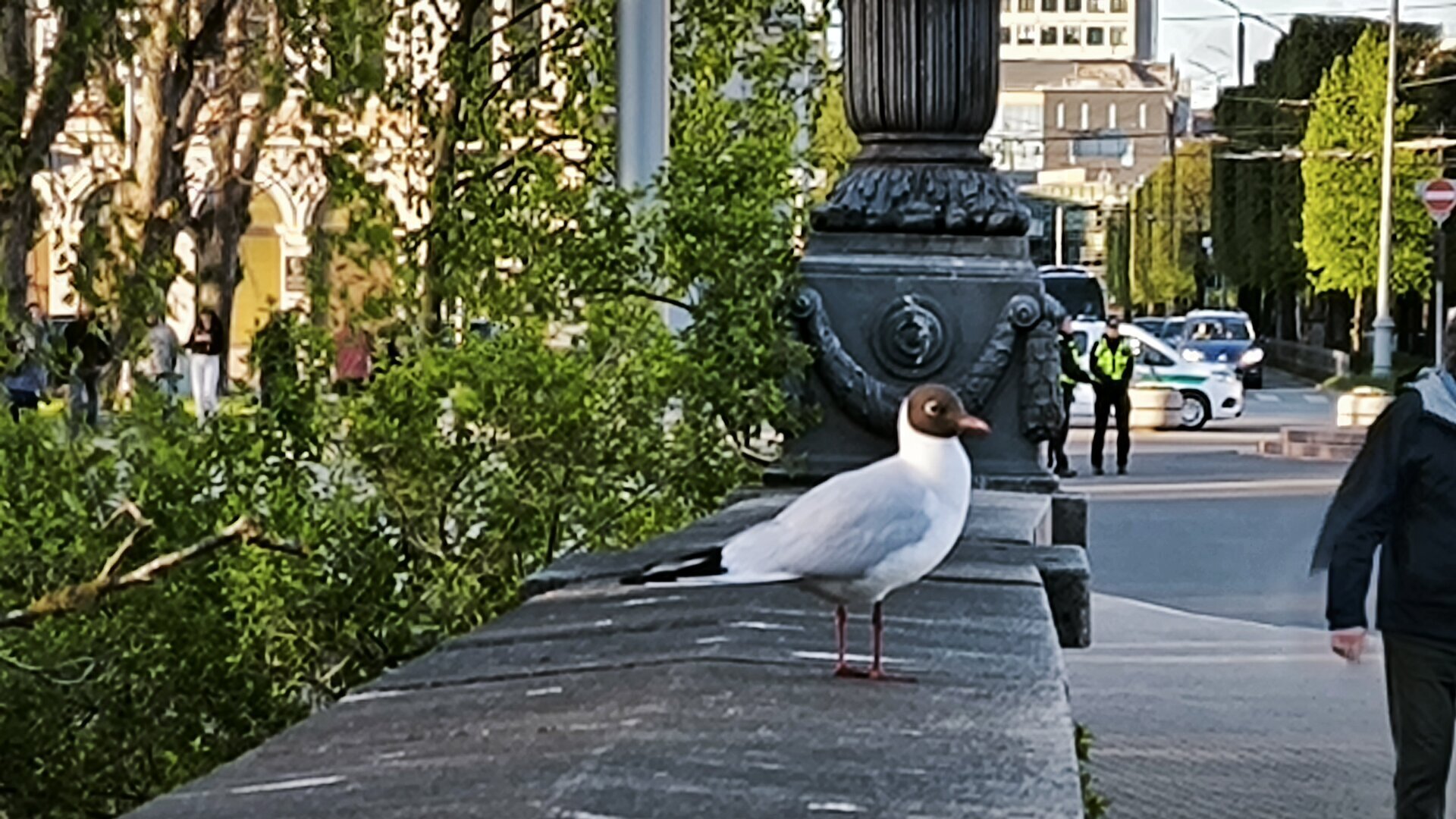 IMG_20260507_195304.jpg