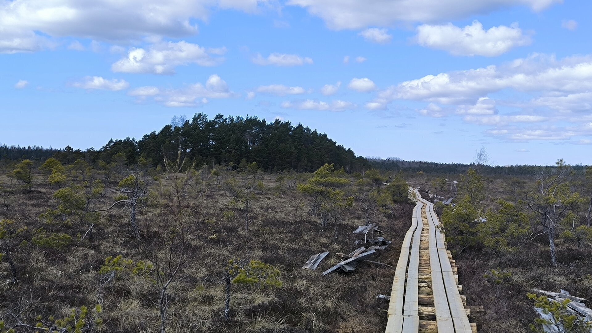 IMG_20260429_150948.jpg