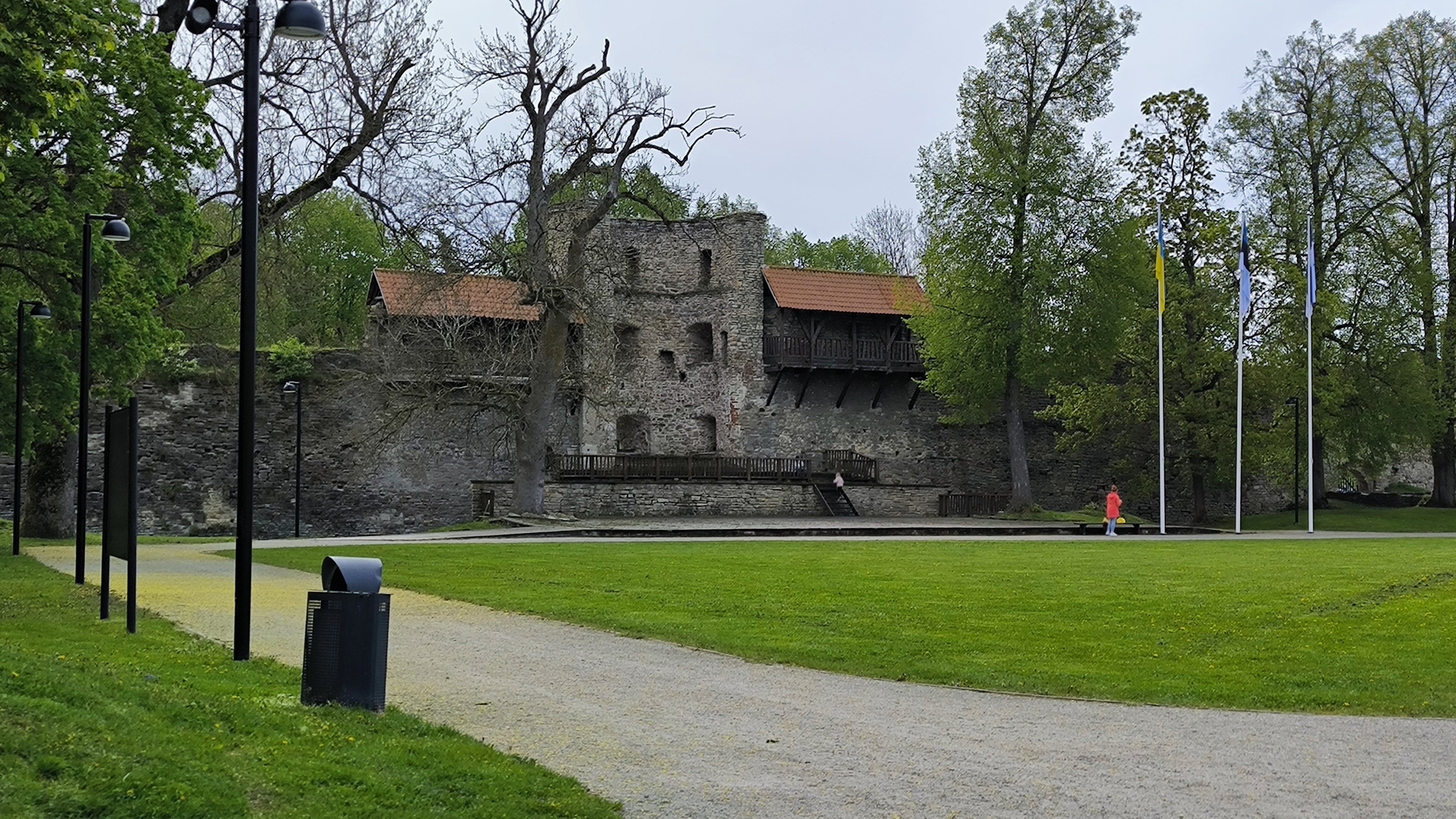 IMG_20260519_104319.jpg